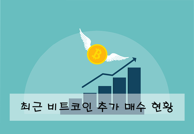 최근 비트코인 추가 매수 현황