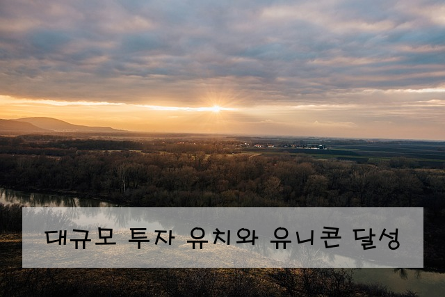 대규모 투자 유치와 유니콘 달성
