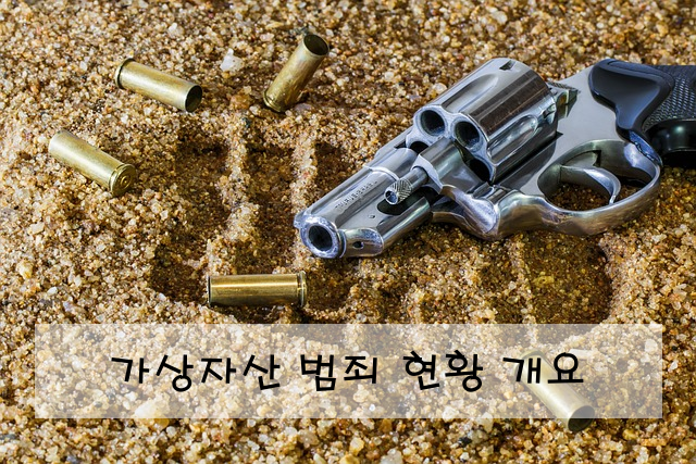 가상자산 범죄 현황 개요