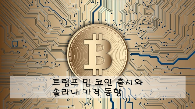 트럼프 밈 코인 출시와 솔라나 가격 동향