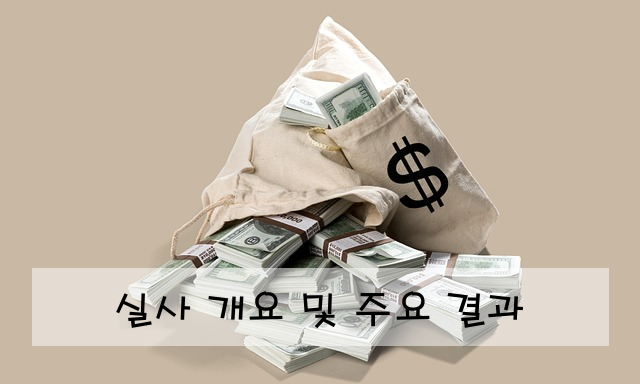 실사 개요 및 주요 결과
