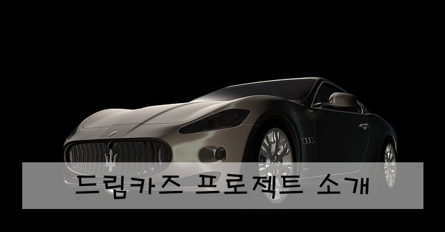 드림카즈 프로젝트 소개