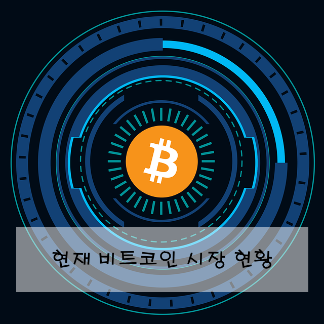 현재 비트코인 시장 현황