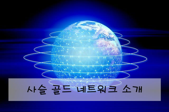 사슬 골드 네트워크 소개