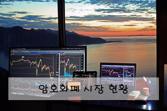 암호화폐 시장 현황