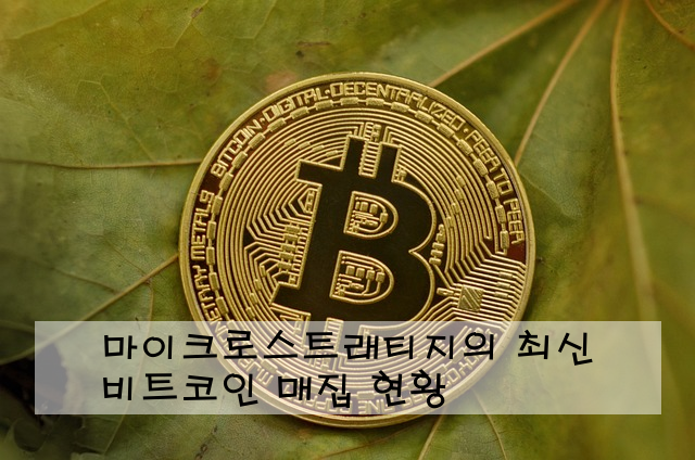 마이크로스트래티지의 최신 비트코인 매집 현황