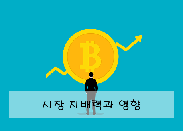 시장 지배력과 영향