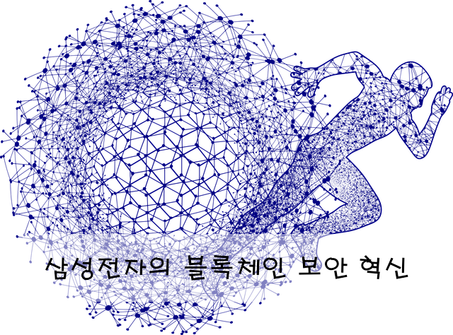 삼성전자의 블록체인 보안 혁신
