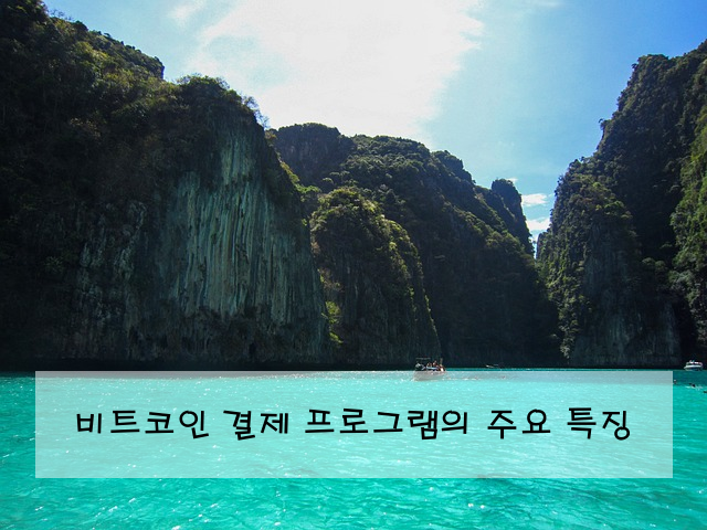 비트코인 결제 프로그램의 주요 특징