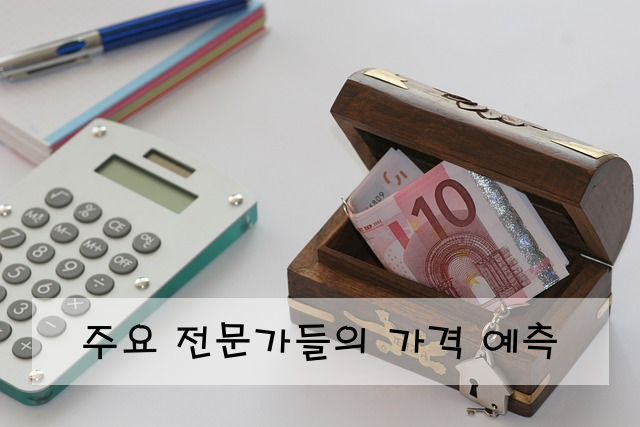 주요 전문가들의 가격 예측