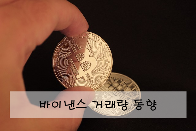 바이낸스 거래량 동향
