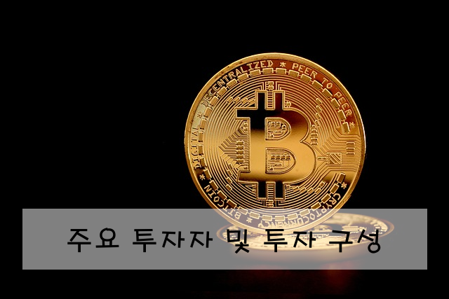 주요 투자자 및 투자 구성