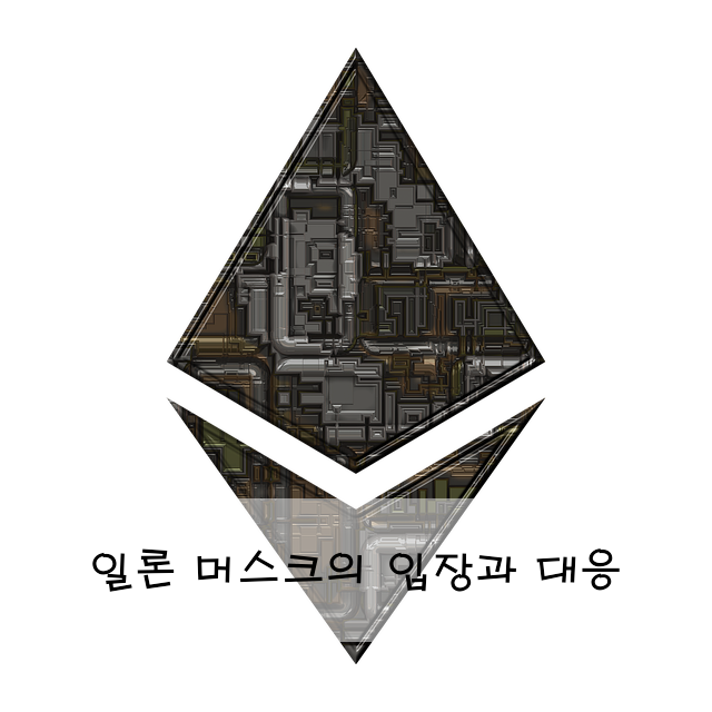 일론 머스크의 입장과 대응