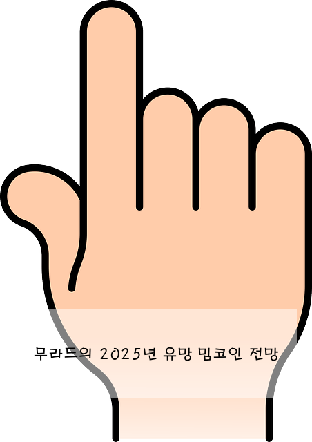 무라드의 2025년 유망 밈코인 전망