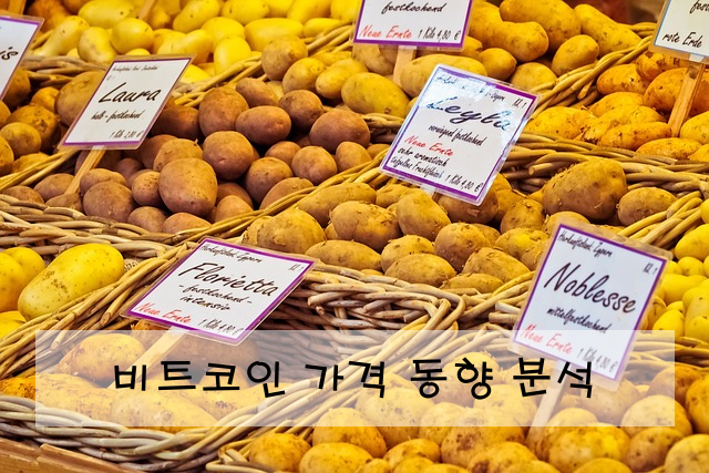 비트코인 가격 동향 분석