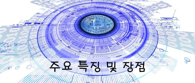 주요 특징 및 장점