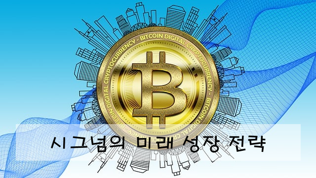 시그넘의 미래 성장 전략