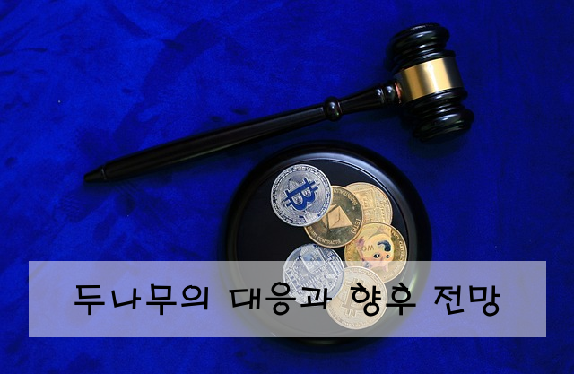 두나무의 대응과 향후 전망