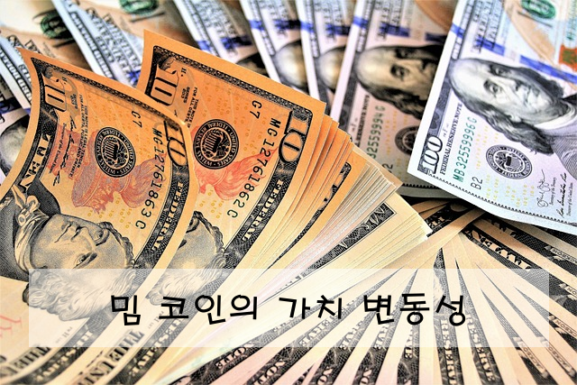 밈 코인의 가치 변동성