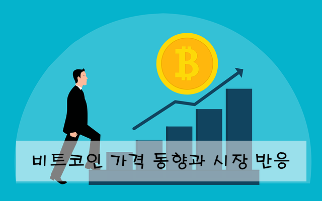 비트코인 가격 동향과 시장 반응