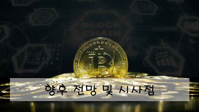 향후 전망 및 시사점
