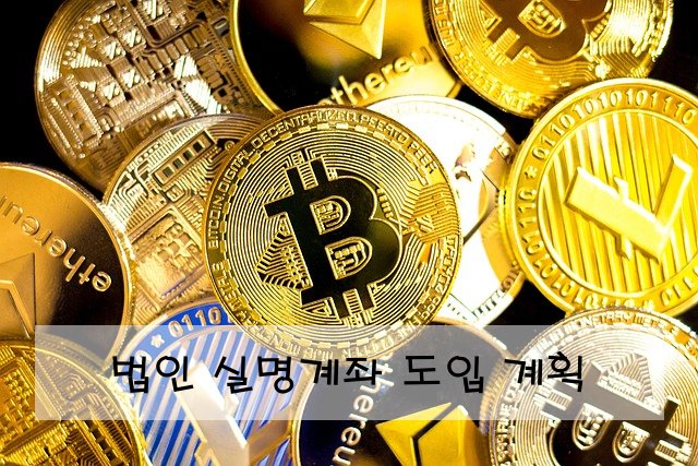 법인 실명계좌 도입 계획