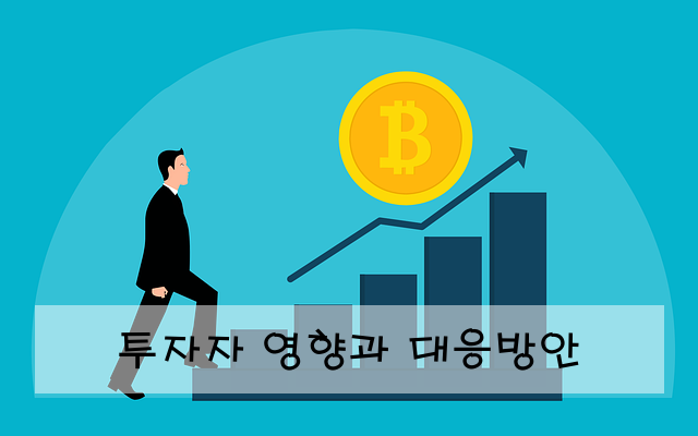투자자 영향과 대응방안