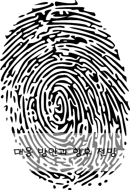 대응 방안과 향후 전망