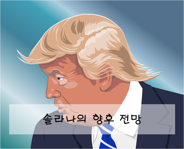 솔라나의 향후 전망