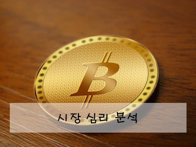 시장 심리 분석