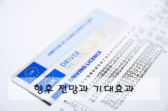 향후 전망과 기대효과
