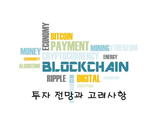 투자 전망과 고려사항
