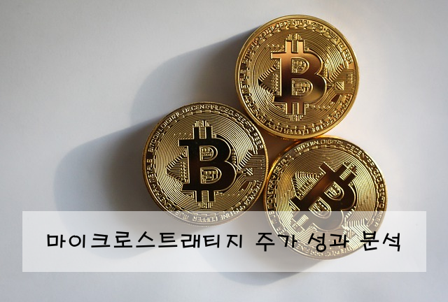 마이크로스트래티지 주가 성과 분석