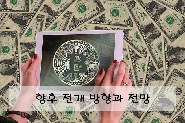 향후 전개 방향과 전망