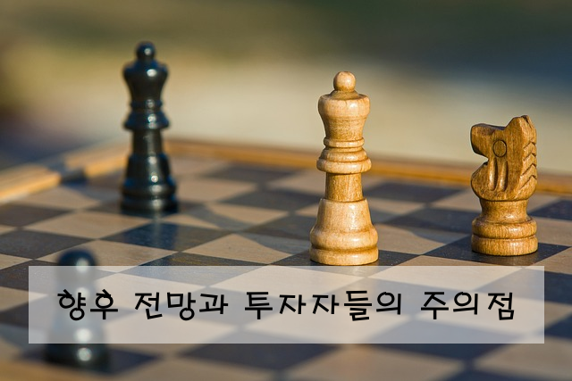 향후 전망과 투자자들의 주의점