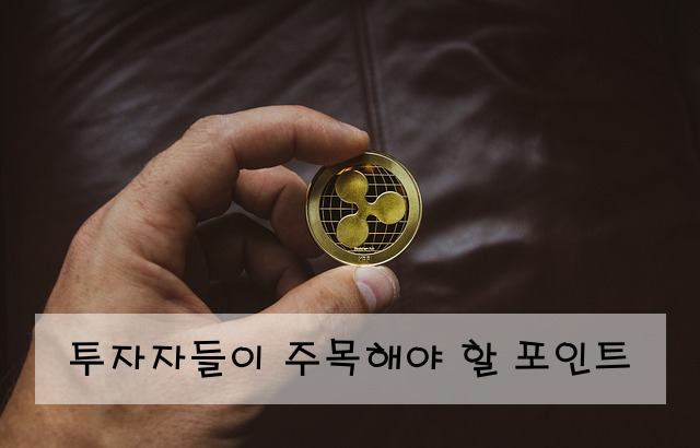 투자자들이 주목해야 할 포인트
