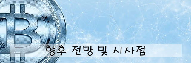 향후 전망 및 시사점