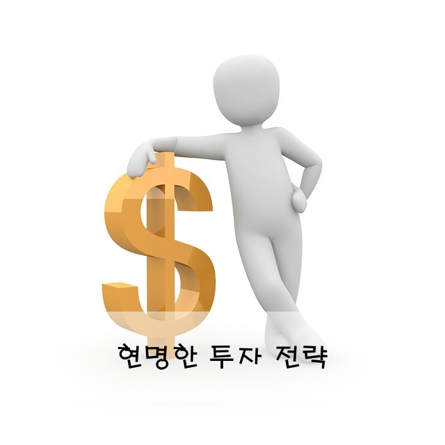 현명한 투자 전략