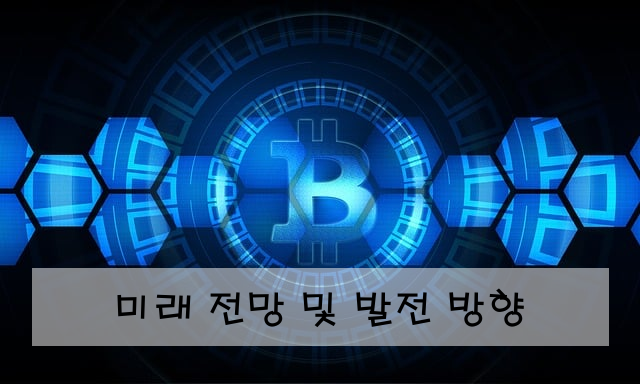 미래 전망 및 발전 방향