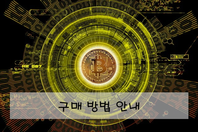 구매 방법 안내