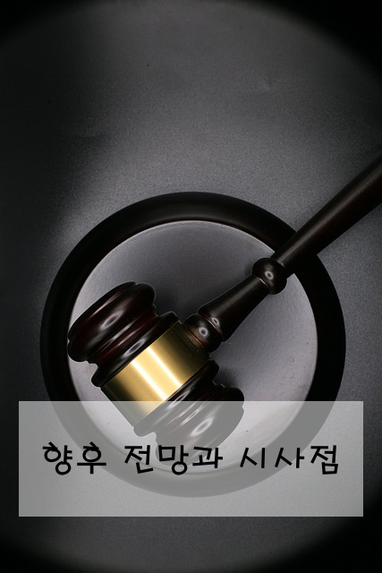 향후 전망과 시사점