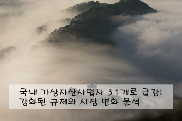 국내 가상자산사업자 31개로 급감: 강화된 규제와 시장 변화 분석
