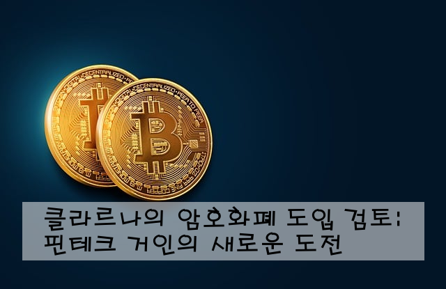 클라르나의 암호화폐 도입 검토: 핀테크 거인의 새로운 도전