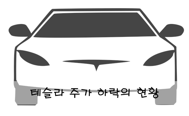테슬라 주가 하락의 현황