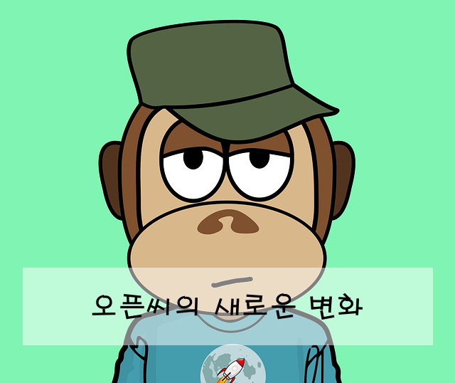 오픈씨의 새로운 변화
