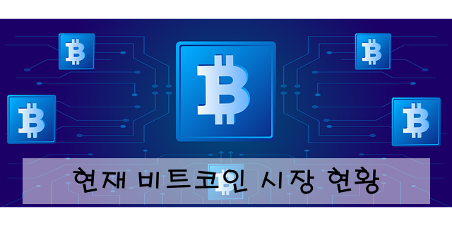 현재 비트코인 시장 현황