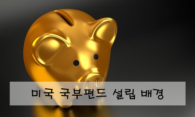 미국 국부펀드 설립 배경
