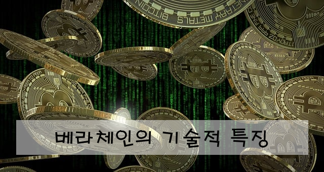 베라체인의 기술적 특징