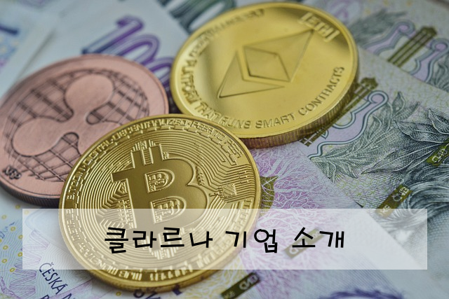 클라르나 기업 소개