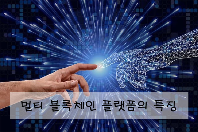 멀티 블록체인 플랫폼의 특징